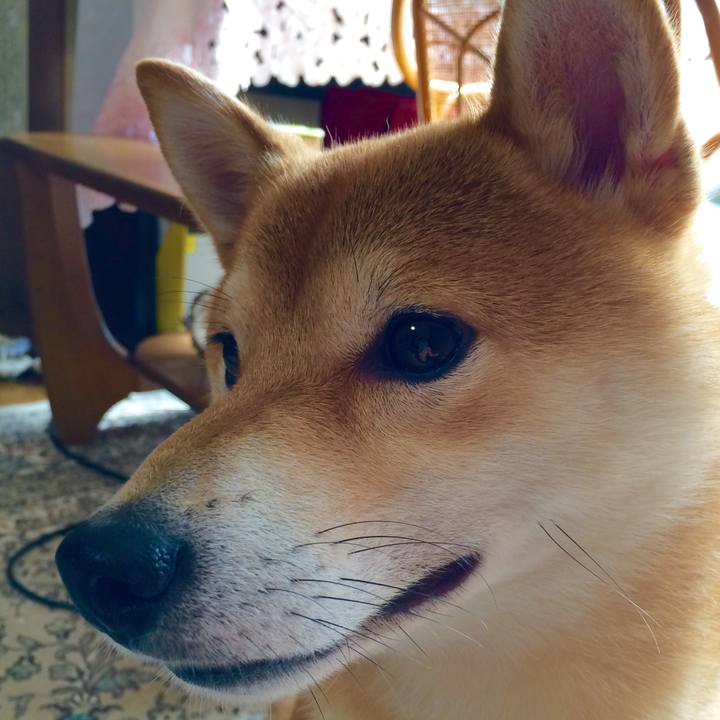 140c716a a5fb 4b25 ae8d 508f9cfc1ef4