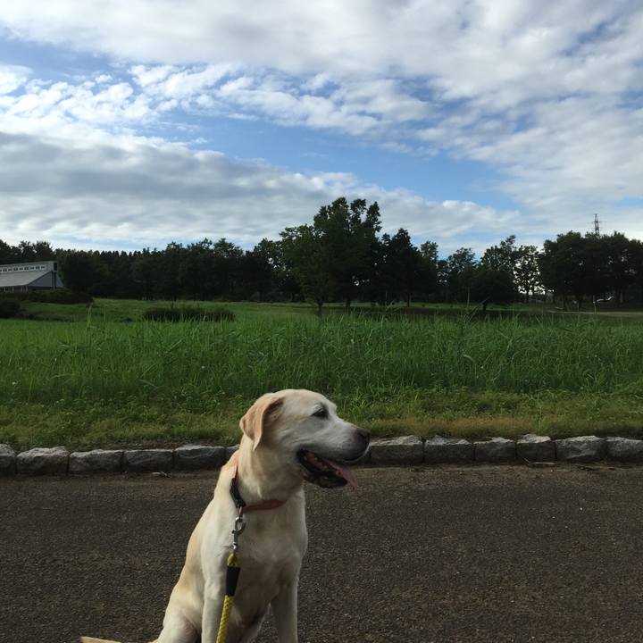 140c8062 73dc 477c a8d6 bcc3cfb6dbc2