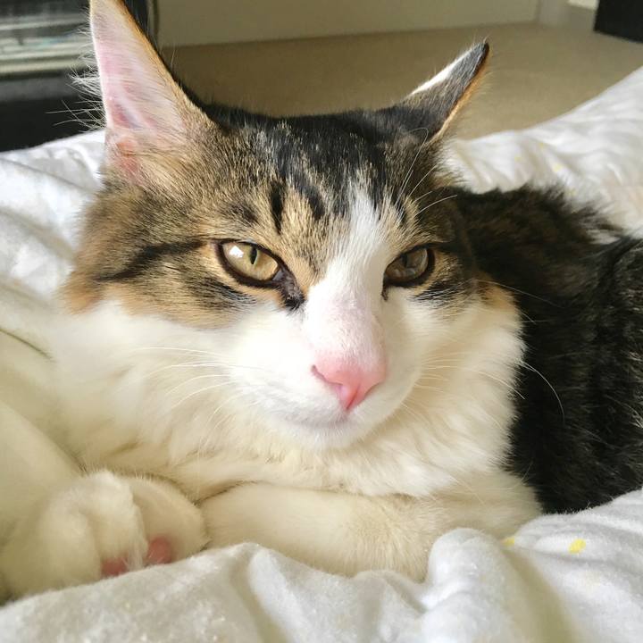 140cff33 2882 402f 89cb fccd72e489b7