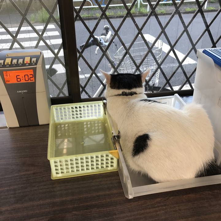 140d6718 91ae 428e b4e3 4ba7d4673b2a