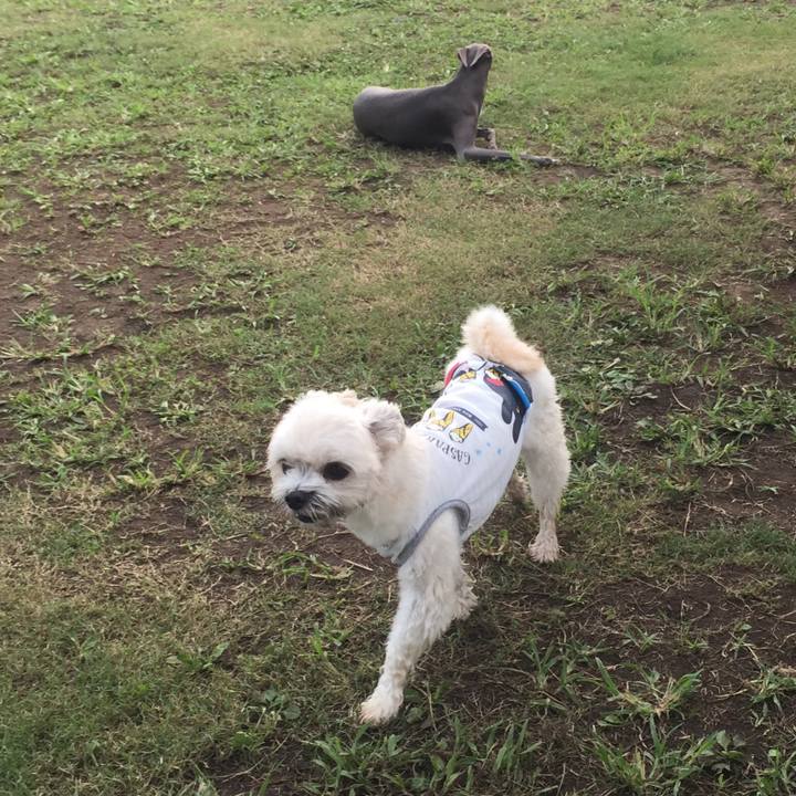 140d8fc2 a58b 4ce3 b238 71d364bfc0fb