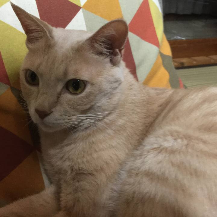 140e572e 7684 4d74 8273 5343711f7727