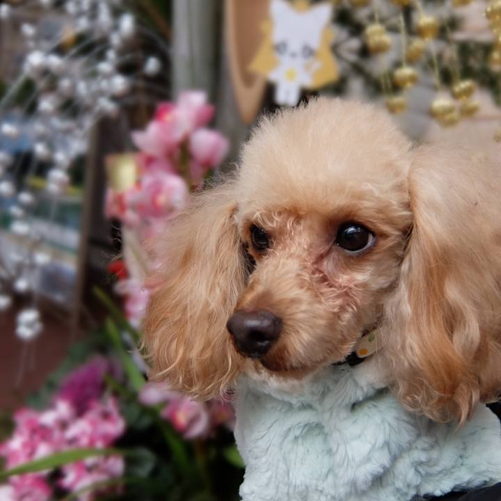 140e616f befd 4d31 a5f8 887ae8909d03