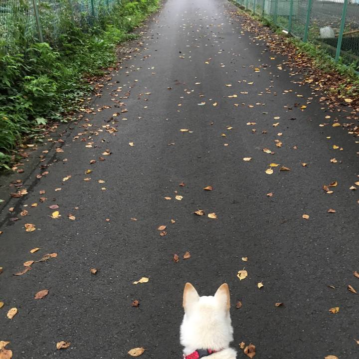 140e79ff a430 4e73 ad07 5e16c832cf80