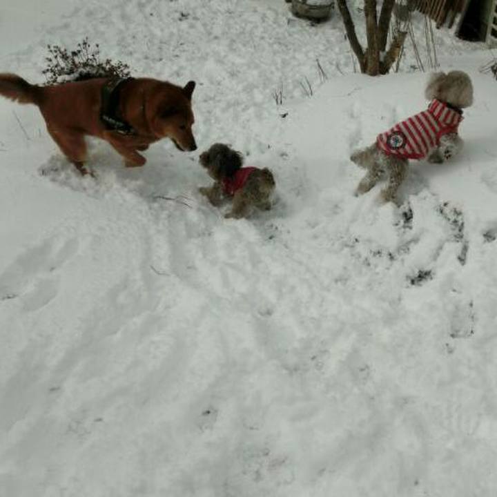 140e8709 0631 47d1 a4f2 1efbd72a59e9