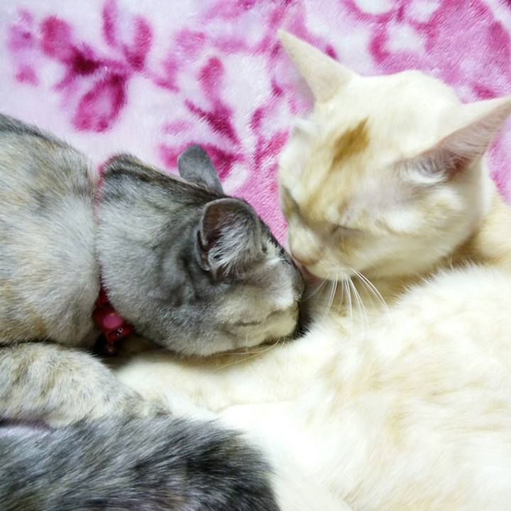 140f2c46 6ed5 46e7 9e91 f2449acabc3b