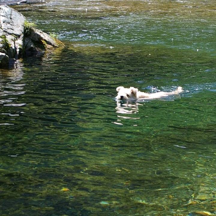 140fd9a8 5d63 44e1 8d70 a8a8f0ba5a20