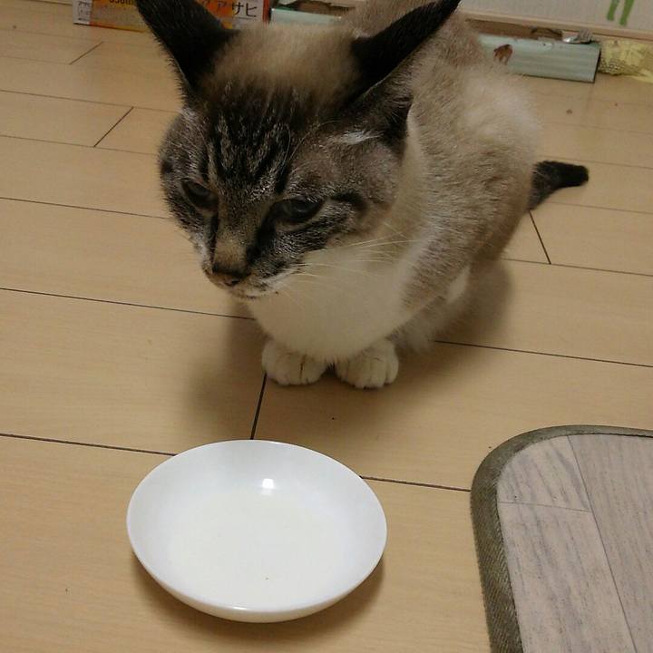 14100f0a 7010 4644 a85d c3ca3cd0318c