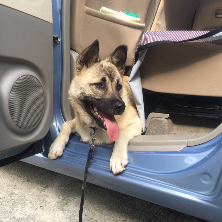 14104d11 e6fd 458f 9656 affbaf3bc878