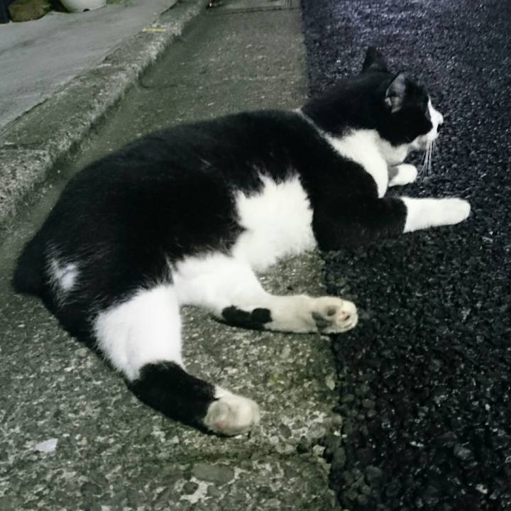 1410c6a2 d974 4284 93fd 84c5c19b5b97