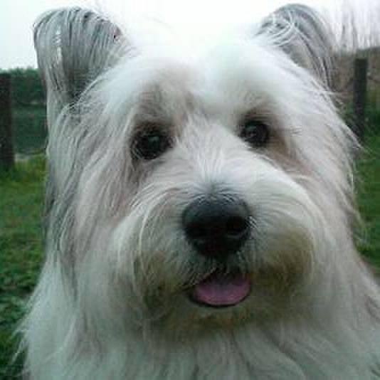 1410cc31 d25b 465f 9d39 e1e65d6efe1c