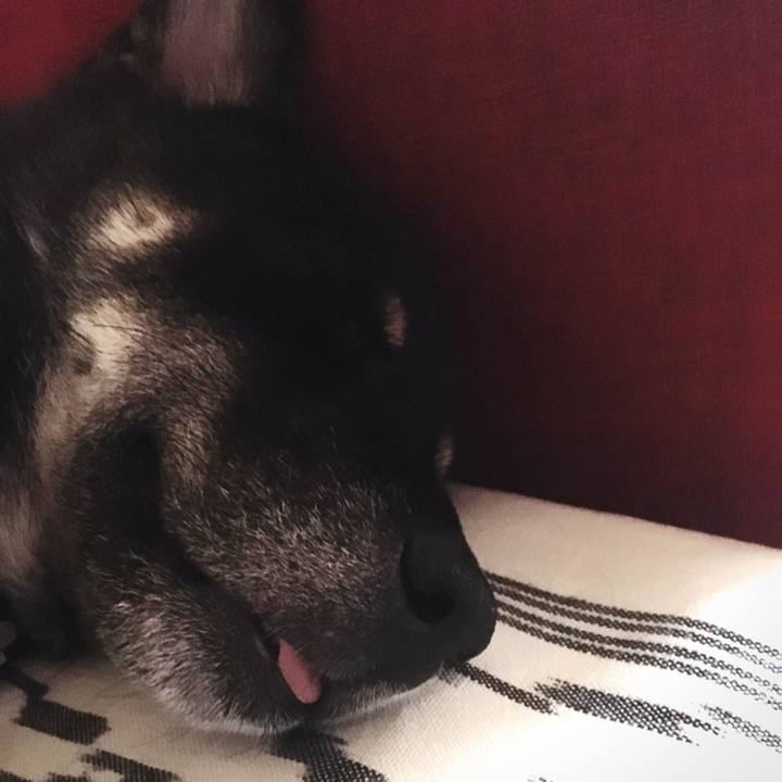 1411138e 5d7b 4468 9162 66dc51cf9efc