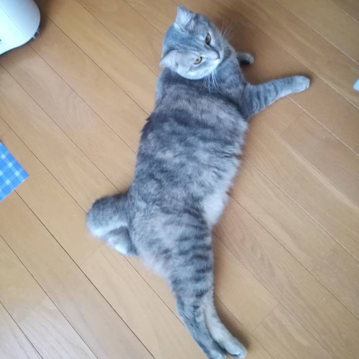 1411f219 9eeb 45aa 9fa6 1fcacd2bc580