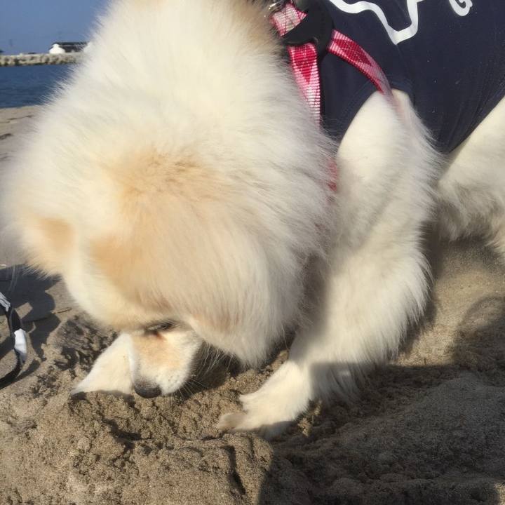 14121b51 eacf 4a18 902a be0f36e12ce5