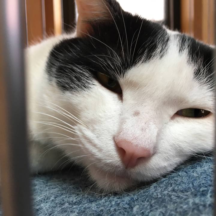 141222b6 0a01 414b 94fb b84a1ba449c9