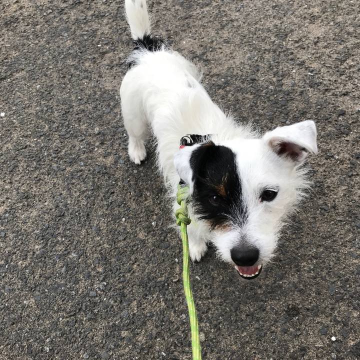 141302d1 8b16 497b 8e71 1584e38ffe6d