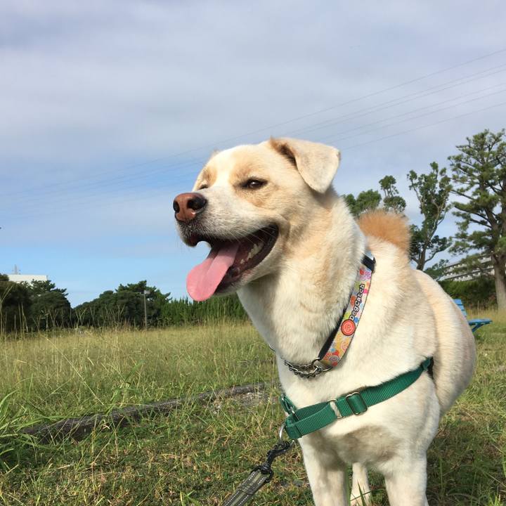 1414391b 0e63 4250 8600 9bda5db48d1a