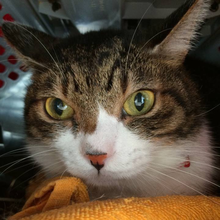 1415009d b719 4c76 b9e7 8695ac3f8586