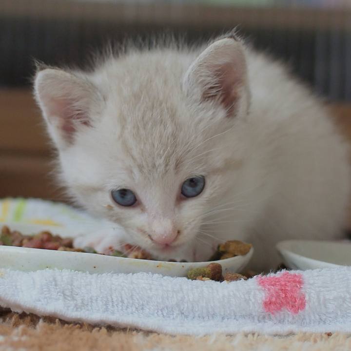 141567a9 d263 4d27 b39c 994c5c80680e