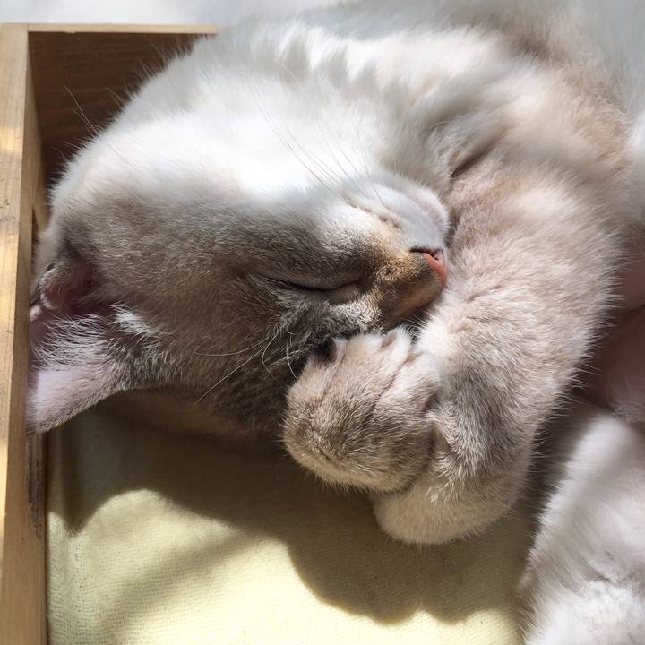 14157150 13b6 48dc b6b3 3167da9a87b2