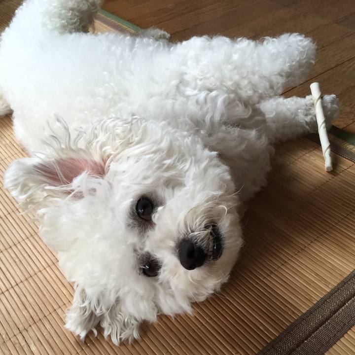 1415d29c c8b0 469b abba a329b397307c