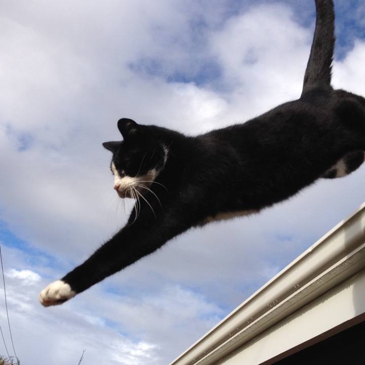 141617dc 8fb4 4567 8441 2f1daad975bd