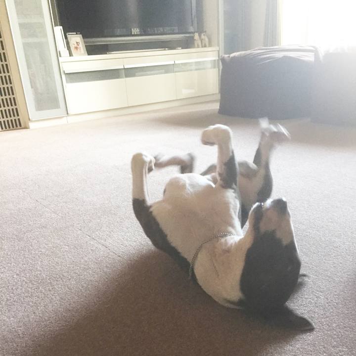 1416603d ca89 4cd1 85b3 00cb9c433a91