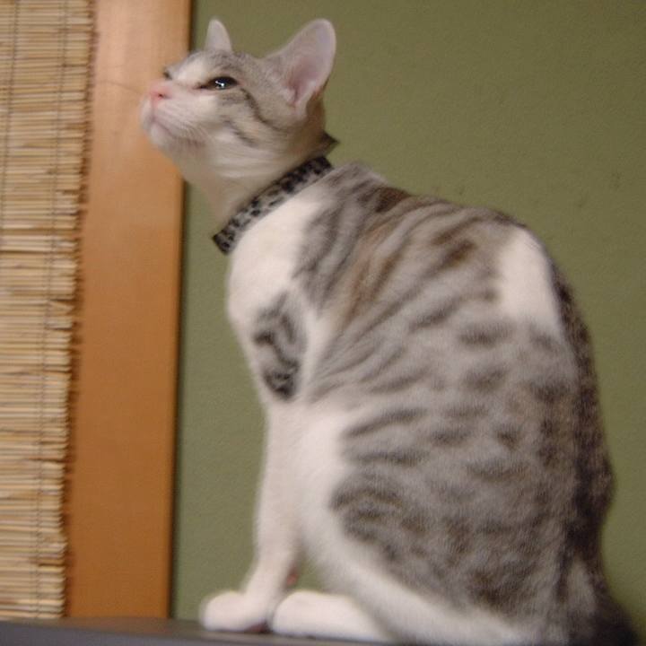 14170d0a c43d 4ca1 9f4f e9ef933133f2