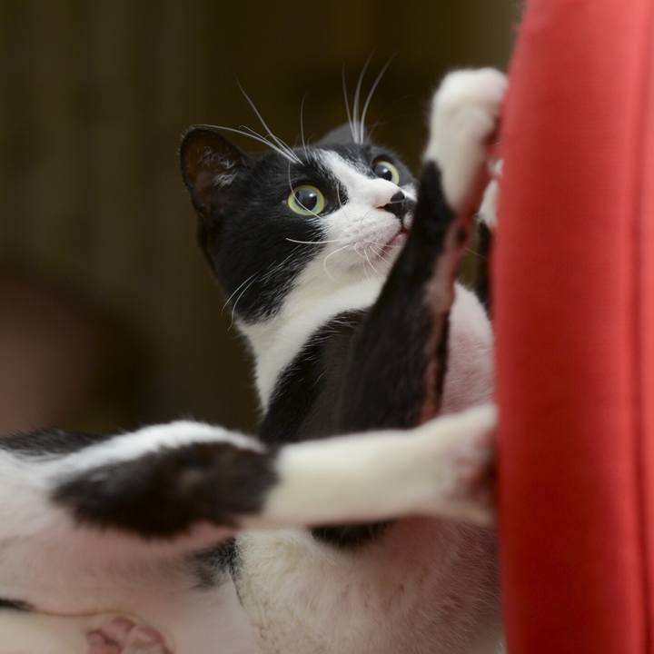 1417ec31 b6a1 45b1 949a f2834c1b44cf