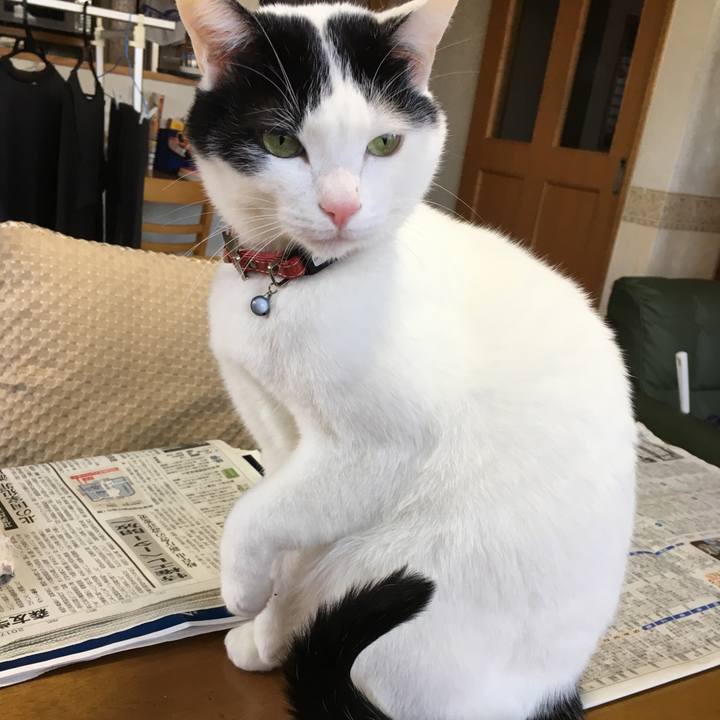 1418017f 5258 4ec0 8f26 6446e6664432