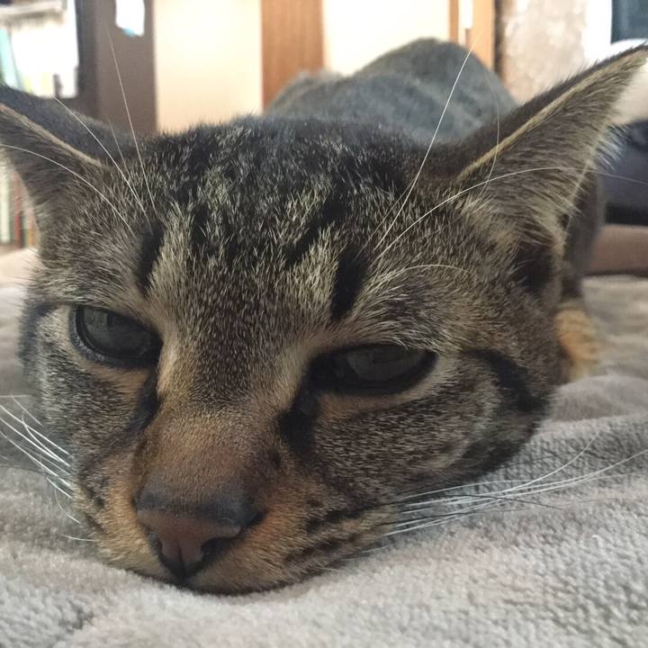 141824a4 3ba0 433c b951 d2b7bd0c271d