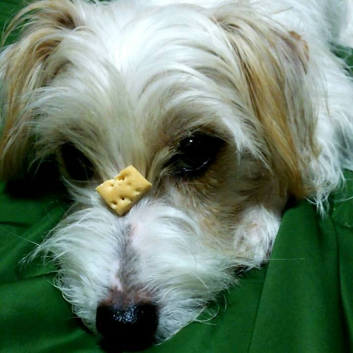 1418789d aa56 4fc3 9728 61d739702bf8