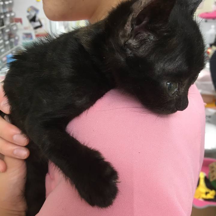 1418cf30 4bcf 448d 8e1c 8d960660ee9f