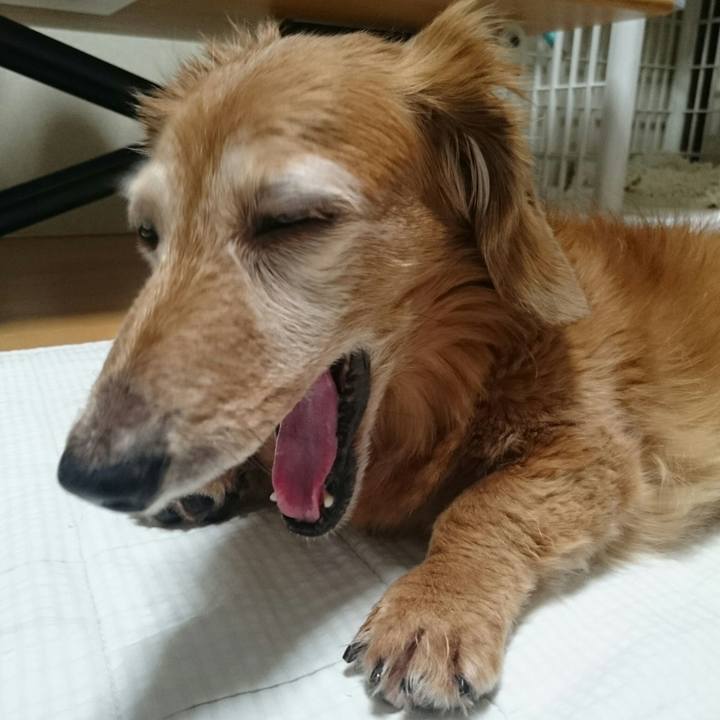 14196e50 1ba4 40e0 8d55 ecc4ea2de6ae