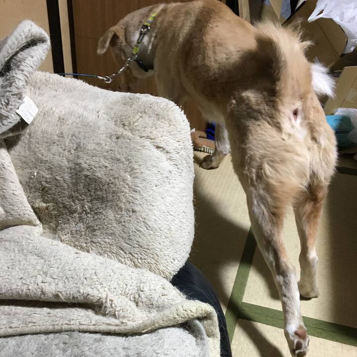 141a2aae 6557 427c ab67 123420059d78