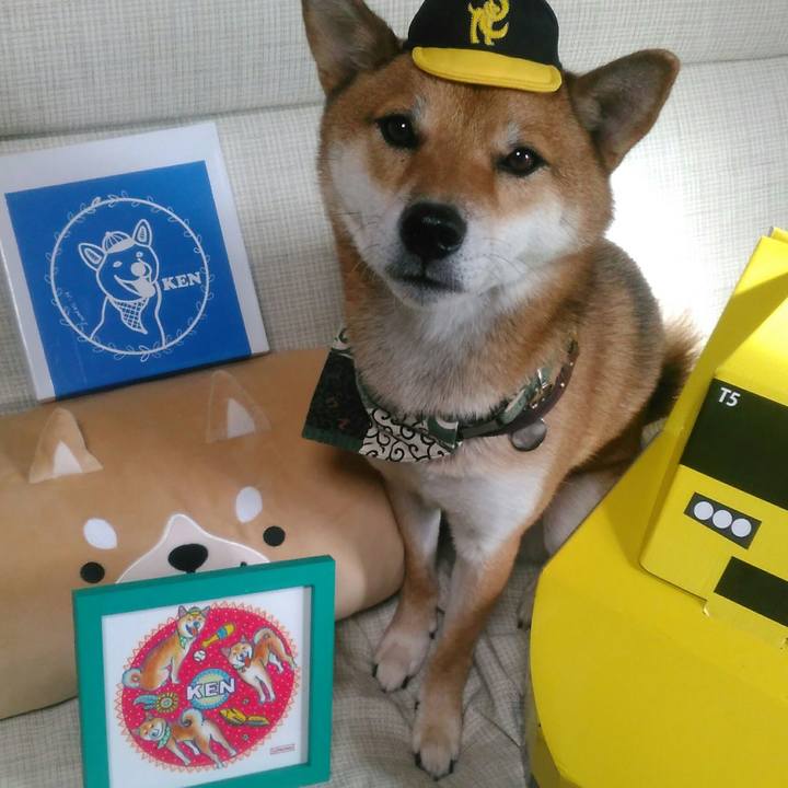 141aad19 85ce 4f30 8141 a88b696dd61f