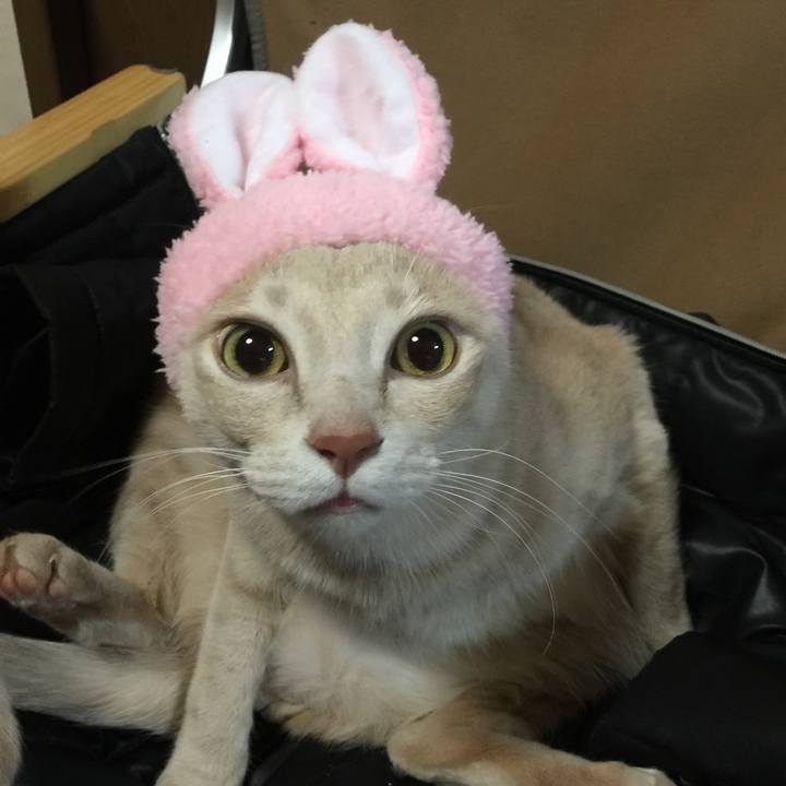 141aba5a 83f8 4618 851d a34e0215d50a