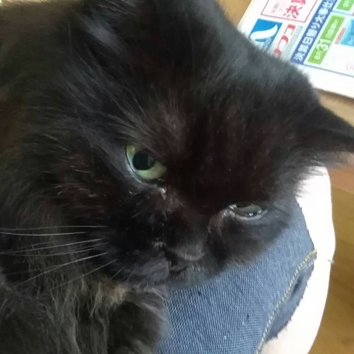 141b16d1 5259 4a7e bee9 c61daa77335b