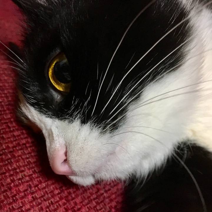 141b428a 9b87 4d15 9c2e 9327921a67e2