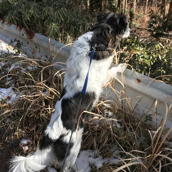 141b92f6 607e 4c60 aeee 3bc2c5137e68