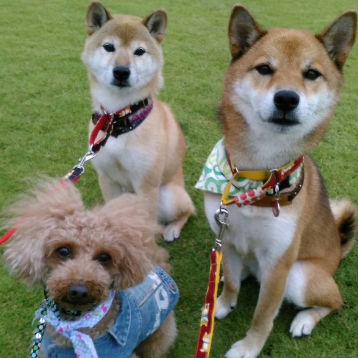 141c72ee 6f61 4971 a1a1 a4c53219b02f