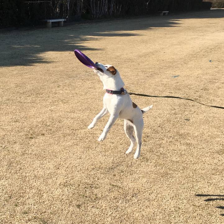 141c79cb ace0 4c93 bffa 006e61b174ce