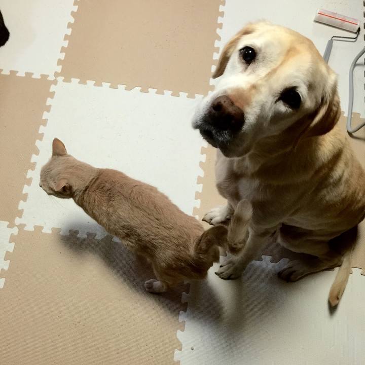 141cff6e 20de 4db8 a28d c49afcdcf83e