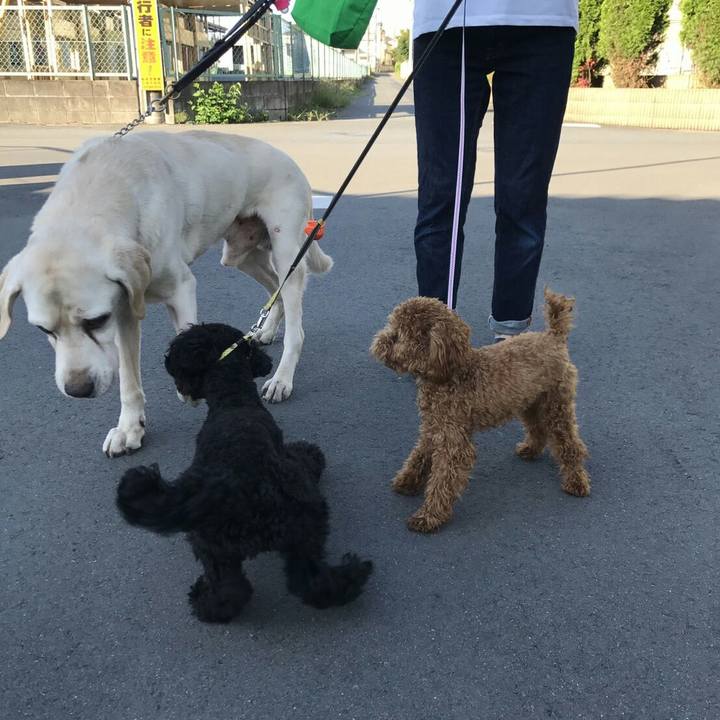 141d2d12 5b93 4cc4 a727 980b9b26f954