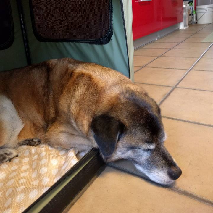 141e70e7 c837 4ef7 9b63 8e217c14b055