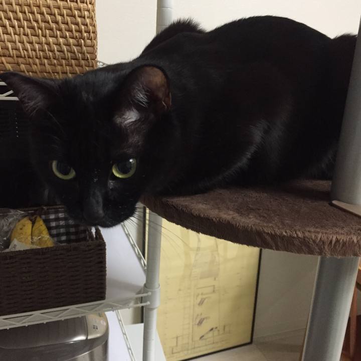 141e8480 80f8 4cf0 981e c3cb9074bef1