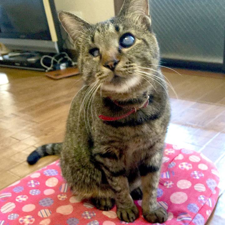 141eb052 8ea1 4837 9866 d21125fb80d7