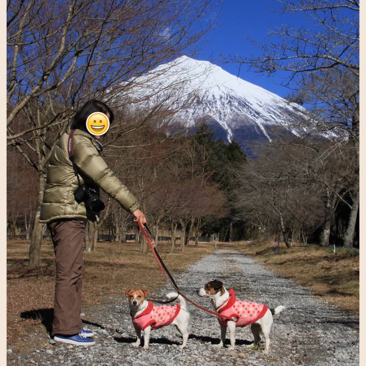 141ebc64 70e4 4304 98a3 06860198ac59