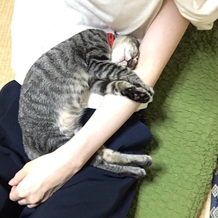 141ed582 858d 4aee 92e8 766ee239c0de