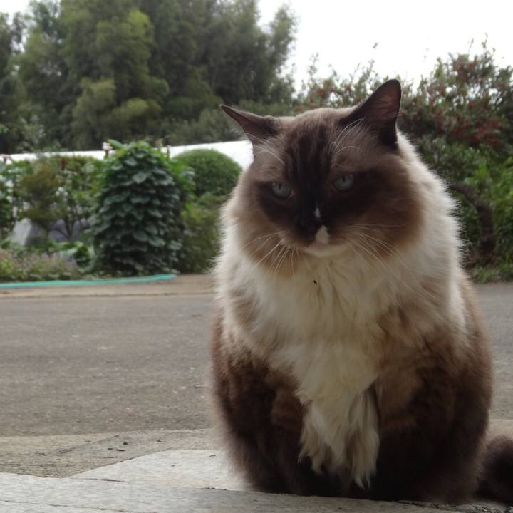 141ed706 2cc0 4274 afea a47a73d8cce2